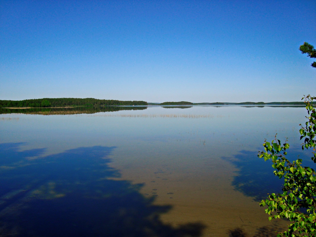 Природа - Николай Фадеев