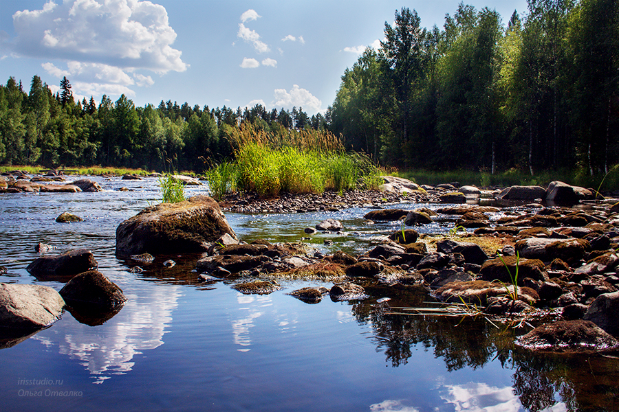 Река Водла в Карелии