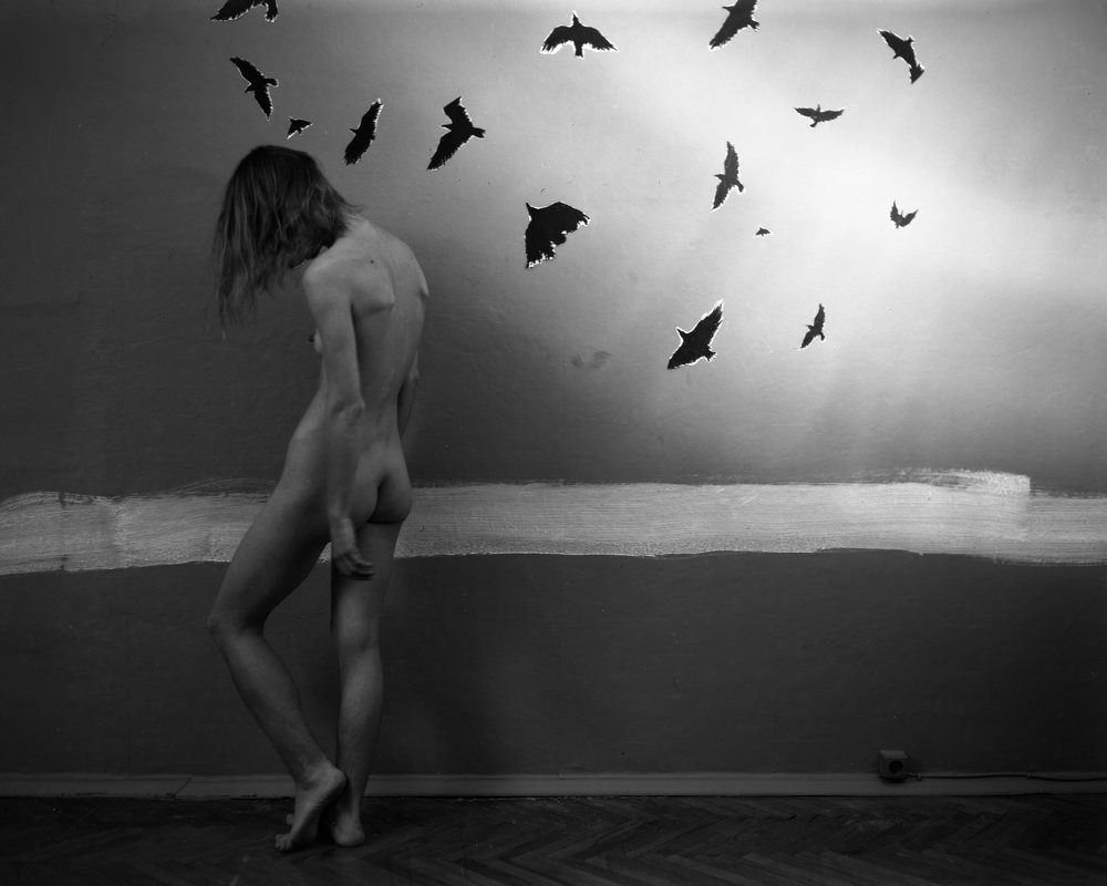 Черные птицы - Юлия Семченко