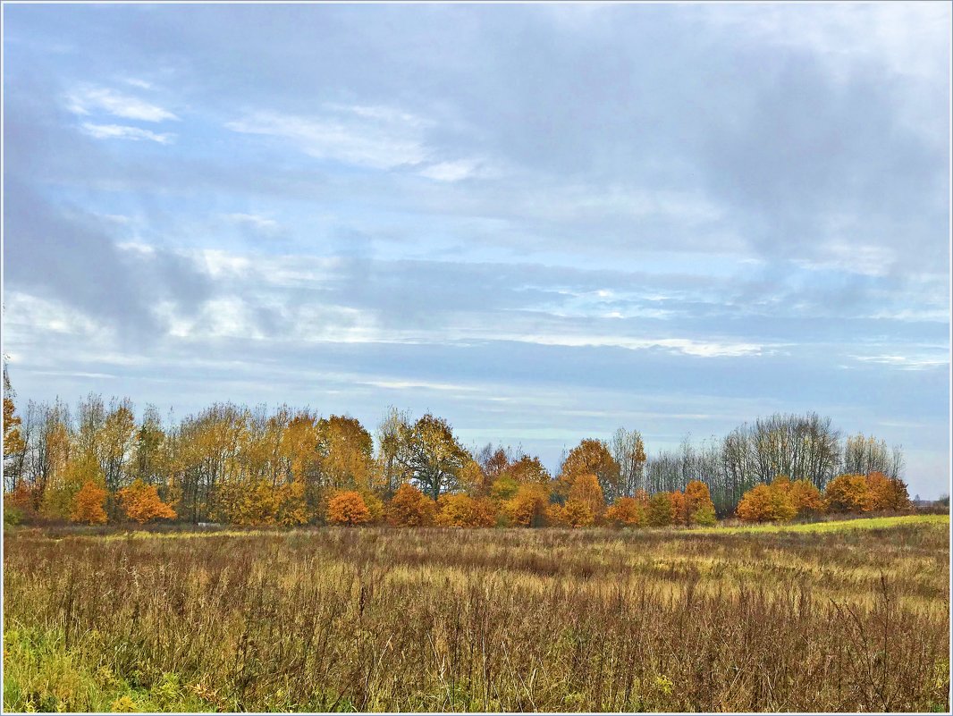 Осенний пейзаж - Валерия Комова