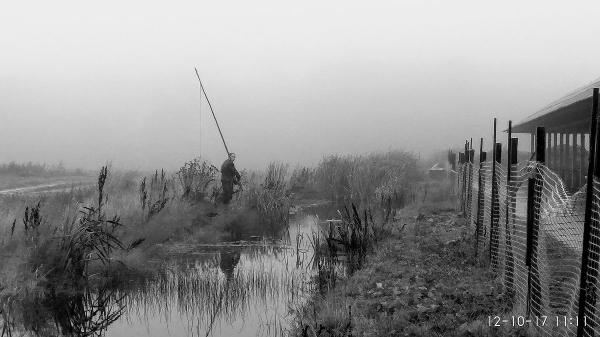 Рыбак в тумане ... - Игорь 
