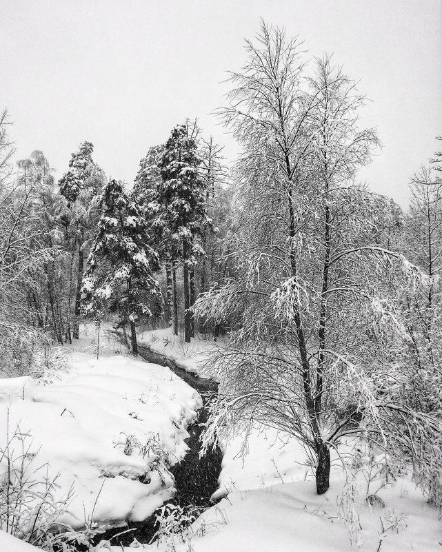 Зимний пейзаж - Сергей Малашкин