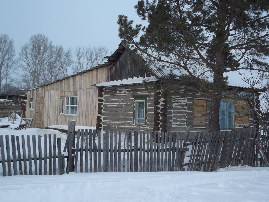 --- - Светлана Рябова-Шатунова