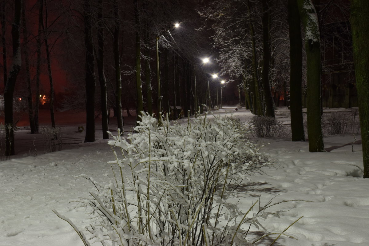 Зимний вечер в парке - Григорий Вагун*