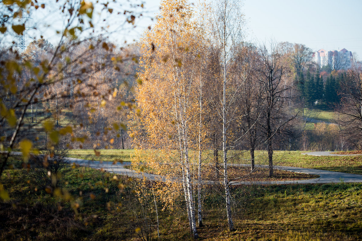 *** - Владимир Безбородов