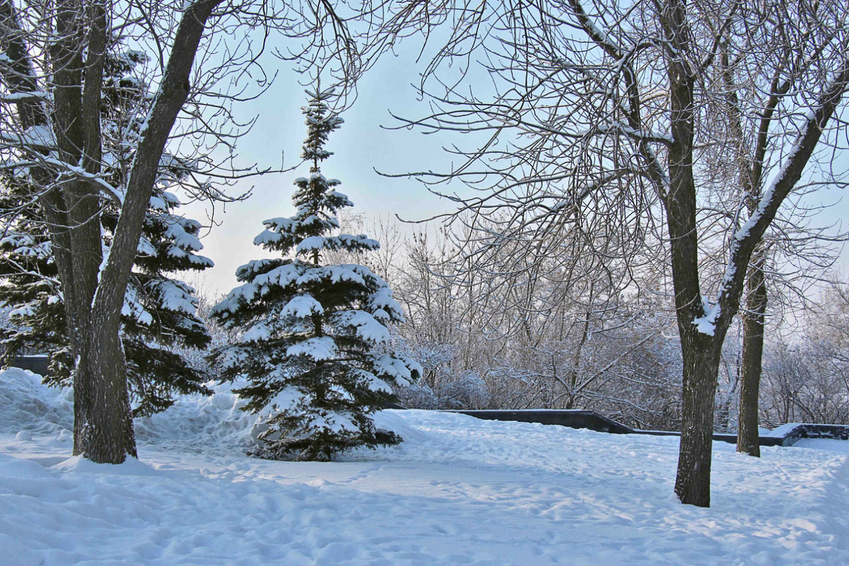 Зима-красавица пришла - Nina Karyuk