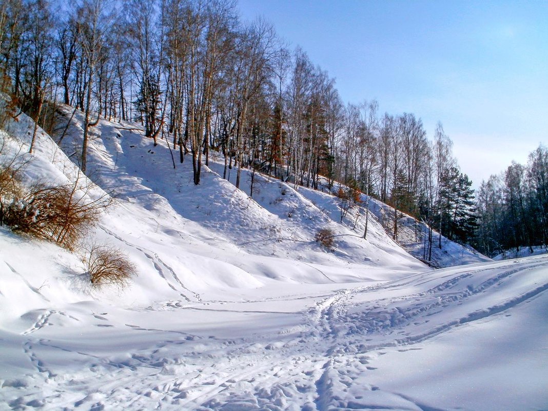 Полесская зима - Сергей Тарабара