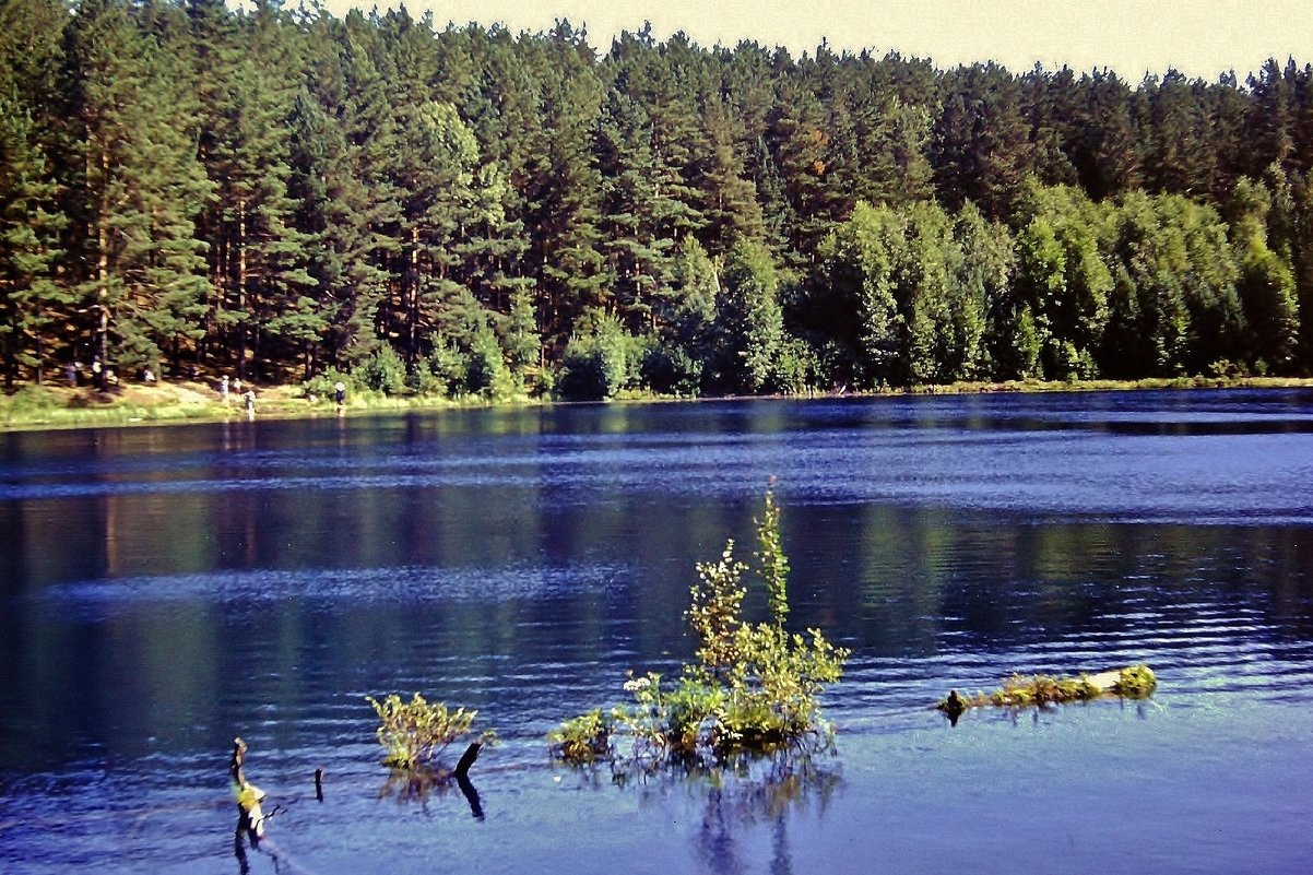 Лесное озеро - Leonid Tabakov