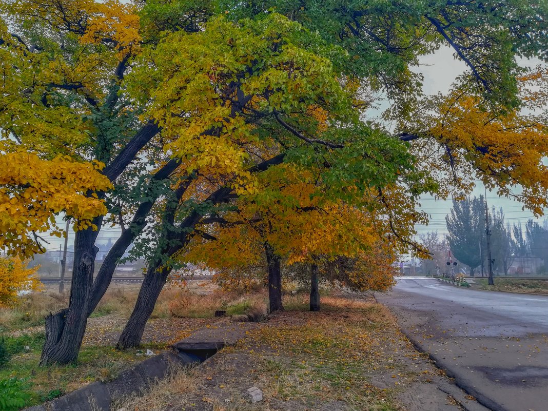 медленно уходит осень - Дмитрий фотограф