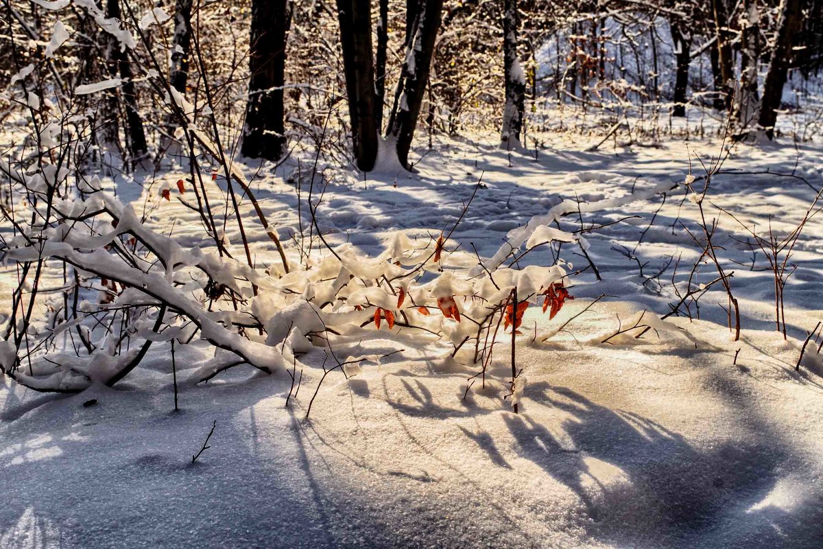 ... - юрий иванов