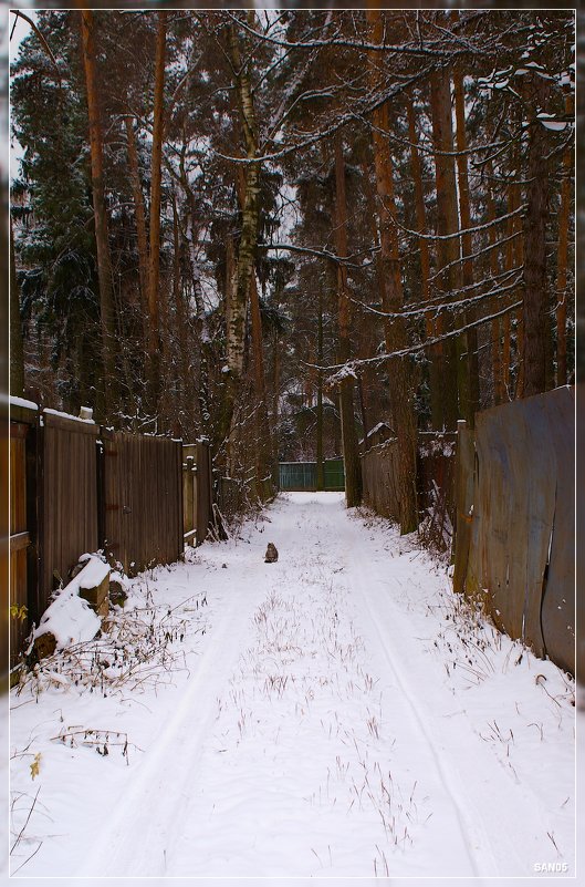 Снег в переулке - san05 -  Александр Савицкий