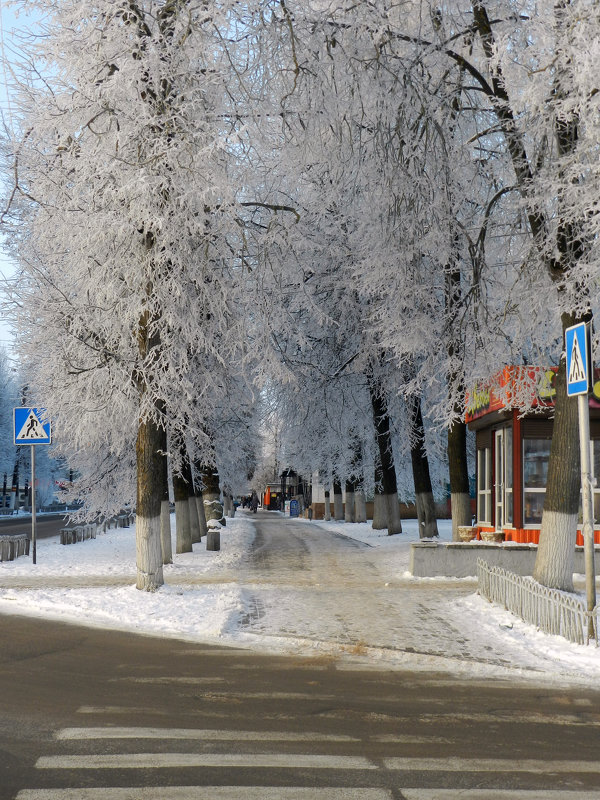 В ценре города - Анатолий Кувшинов