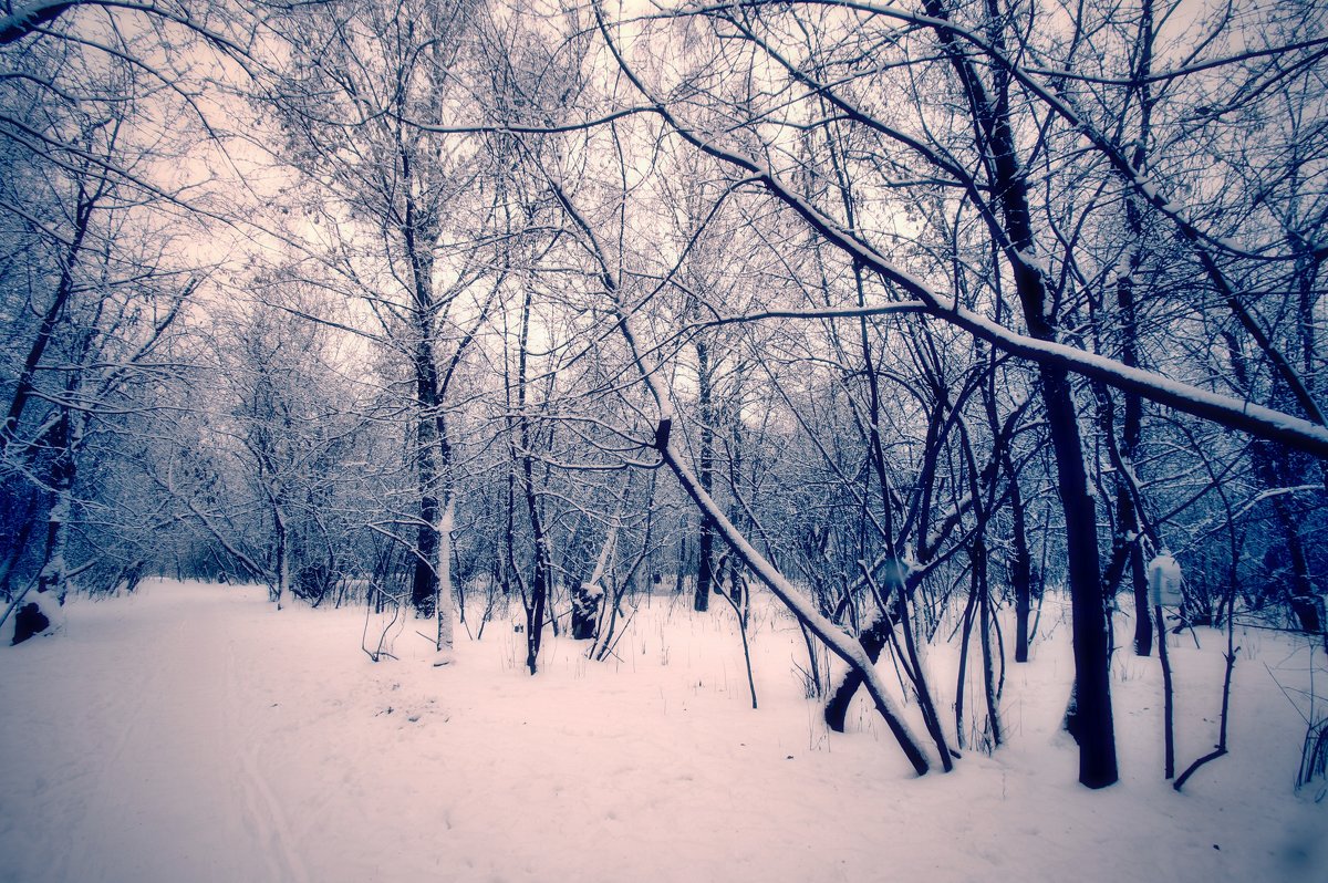 Зима...... - Наталья Лакомова