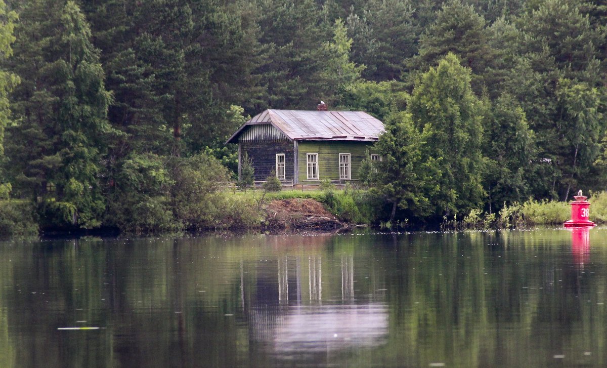 Домик в лесу - Марина Яковлева