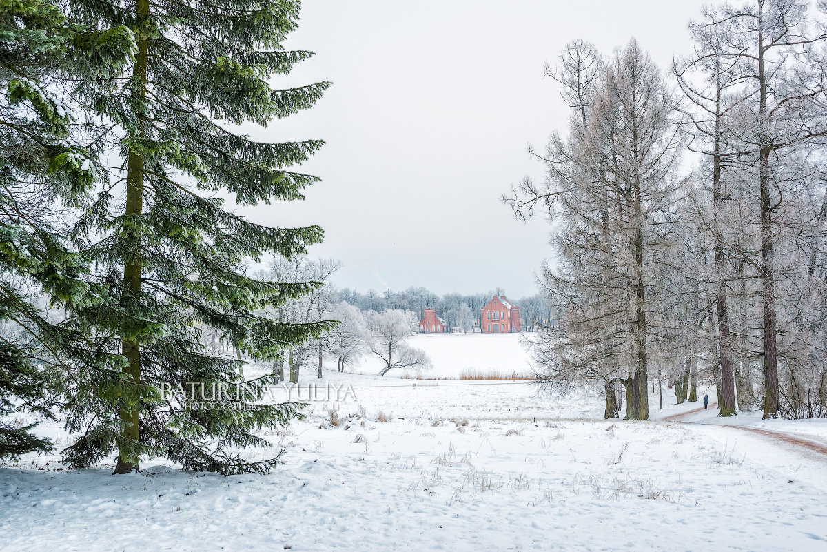 Снежный вид в Царском Селе - Юлия Батурина