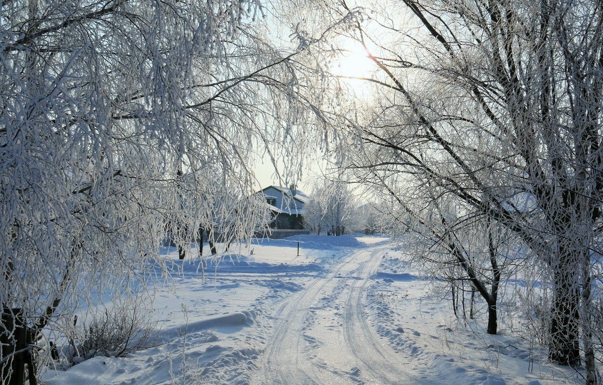 этюд - Владимир Холодницкий