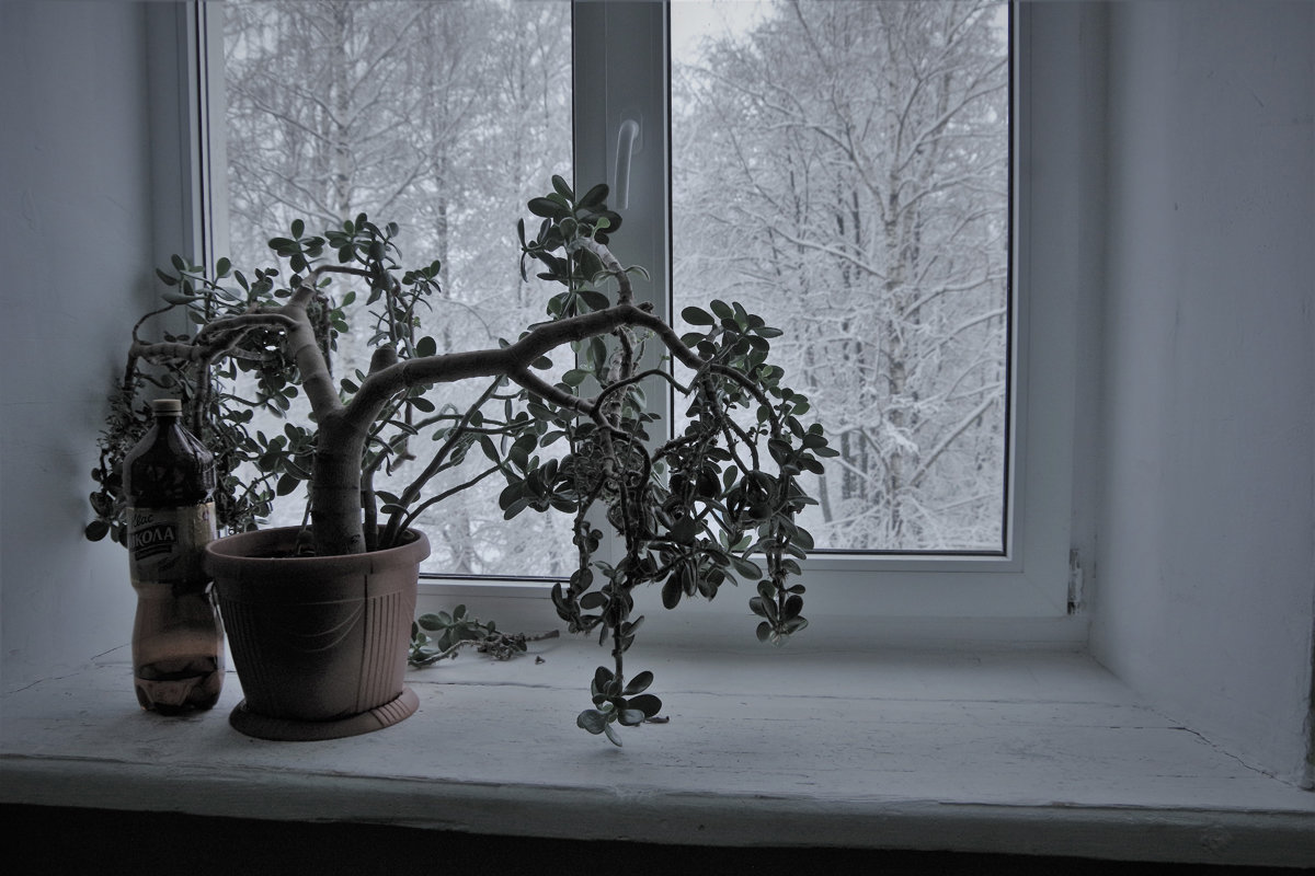Зимний день - Валерий Талашов