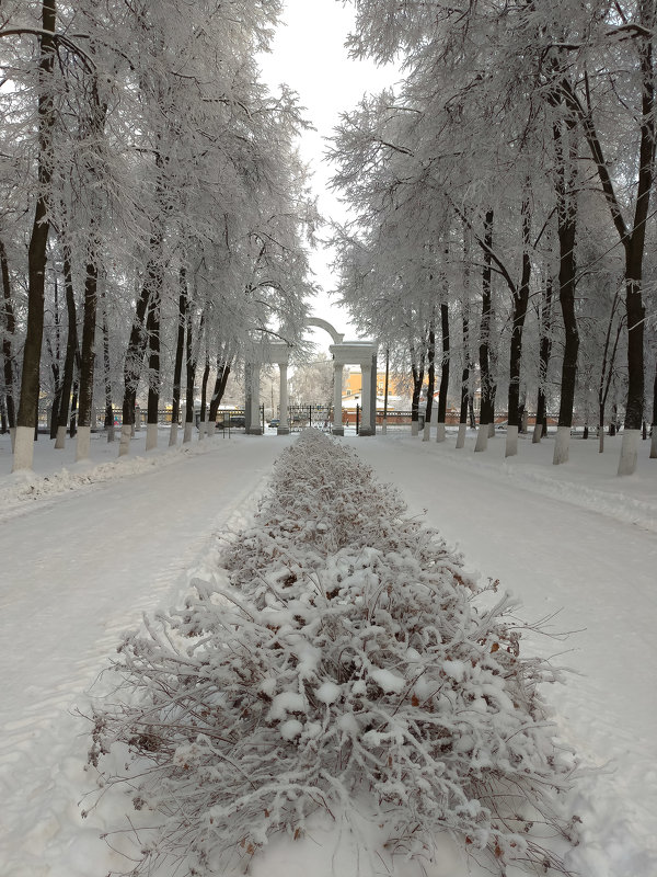 В парке Мира. Коломна. - Светлана Исаева