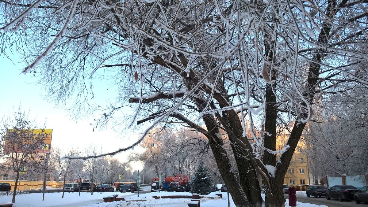 Морозным днем в городе - Елена Семигина