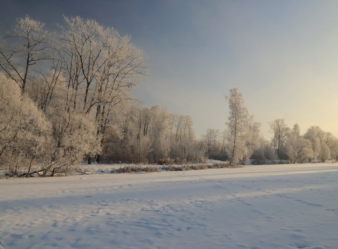 Красивая зима - Светлана 