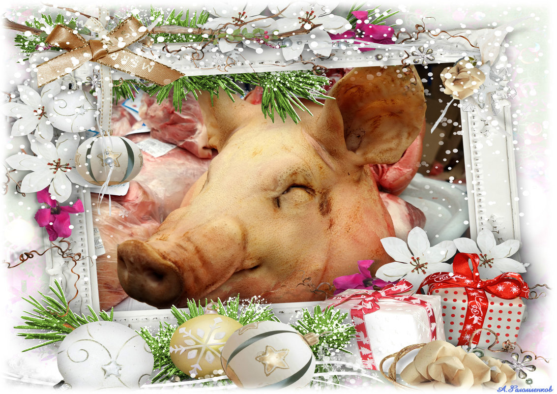 Какие нам подарки год свинячий приготовил? :-) - Андрей Заломленков