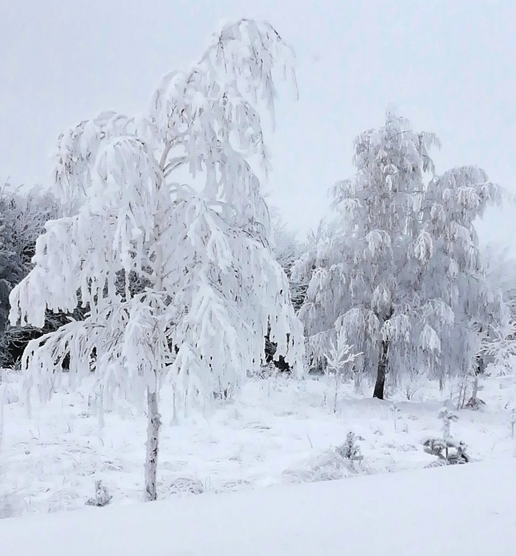 Красота в Кырныше - Сергей Говорков