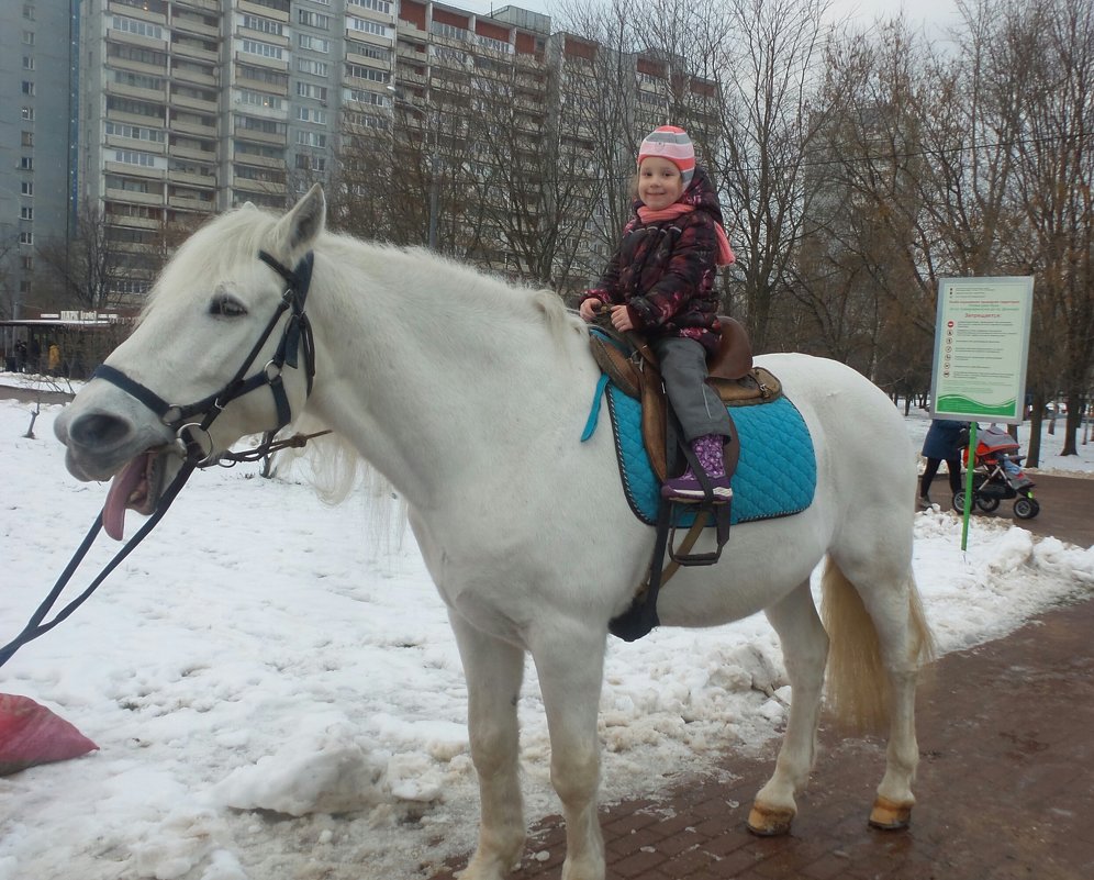На лошадке - Кружалина Наталья 
