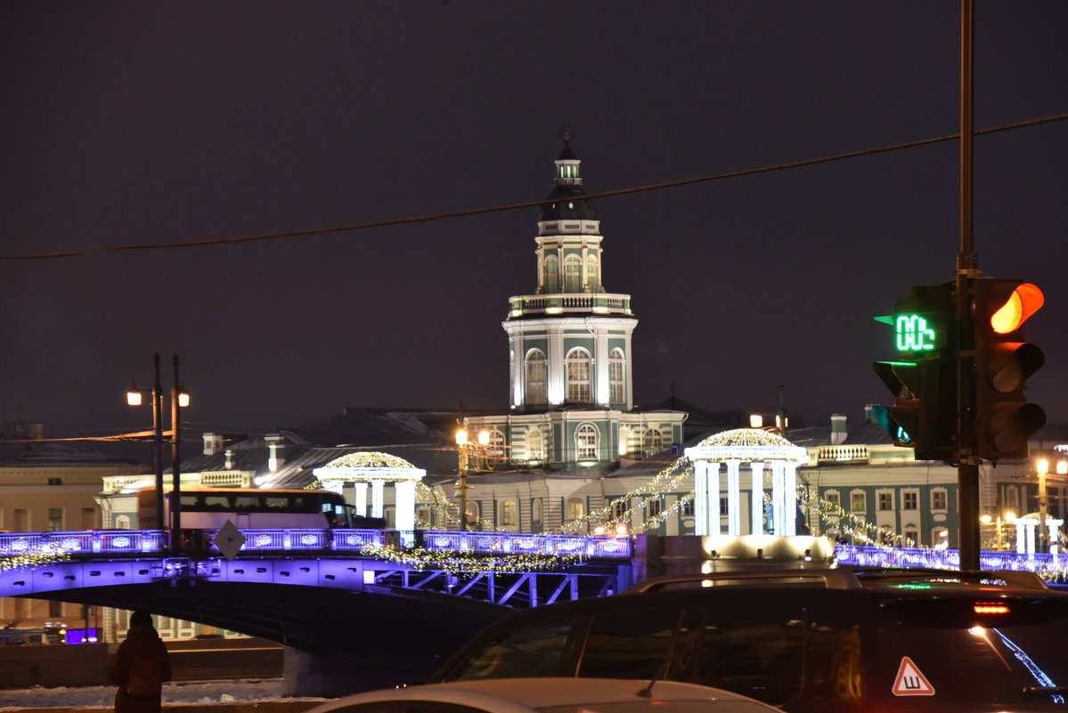 Здание Кунсткамеры. Санкт-Петербург - Валерий Подорожный