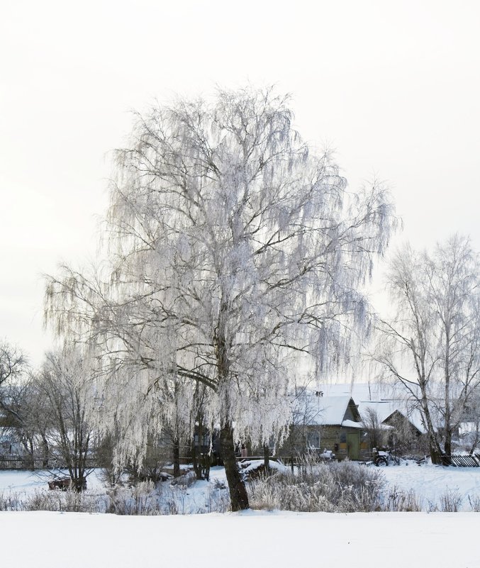Зима в деревне - Александр 