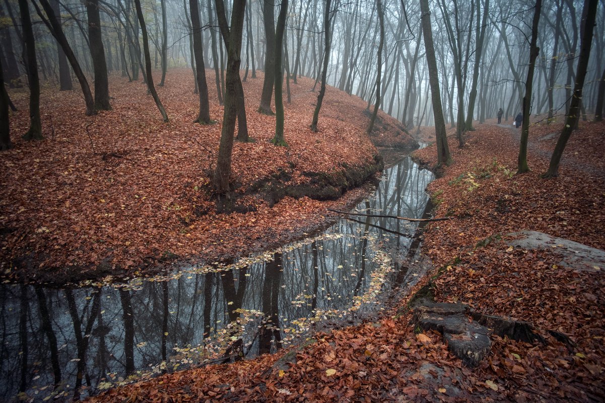 .. - Слава Украине