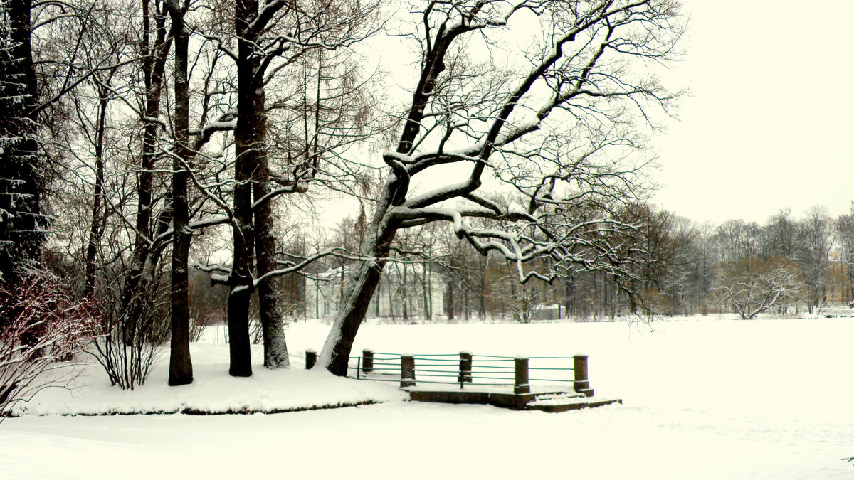 зимой в парке - Сергей 