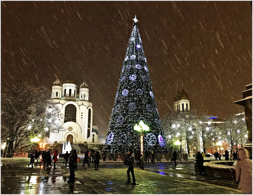 Площадь, ёлка, +2, снег с дождём, Калининград, сегодня. - Валерия Комова