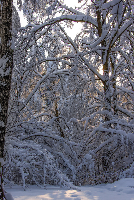 *** - Владимир Безбородов