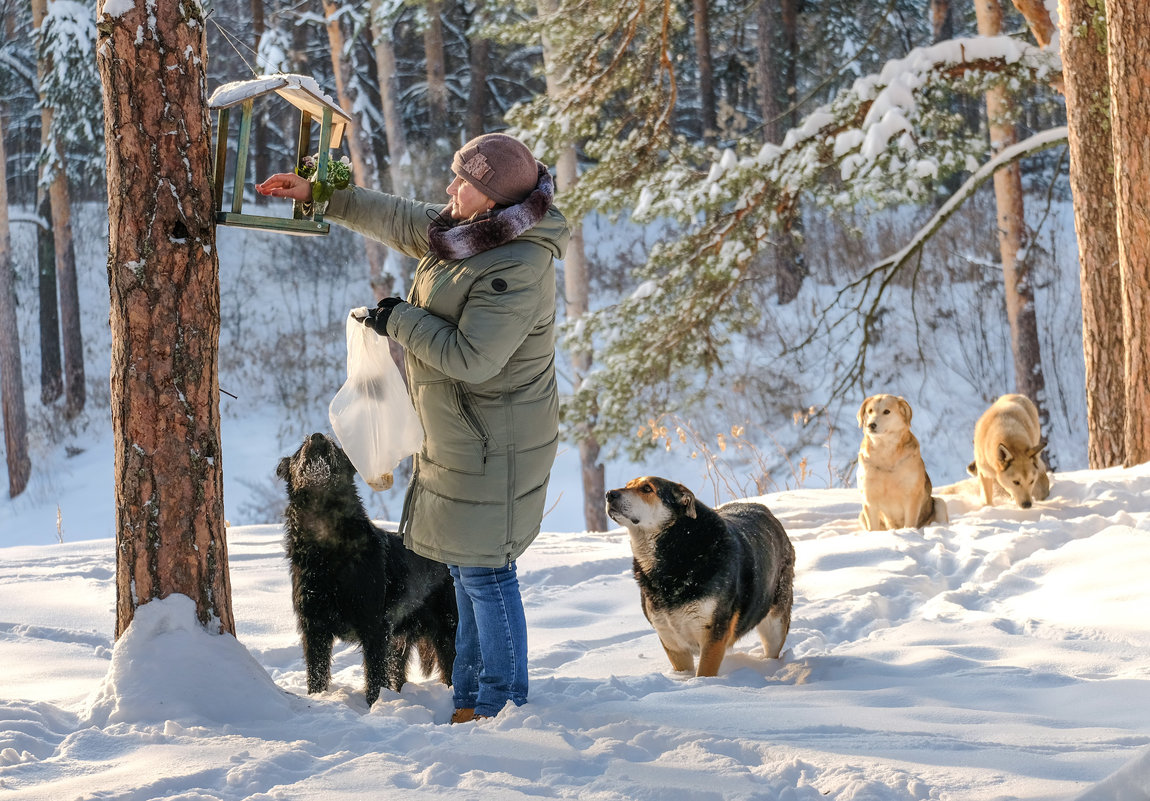 Королева лесных собак и птиц 1 - Сергей 