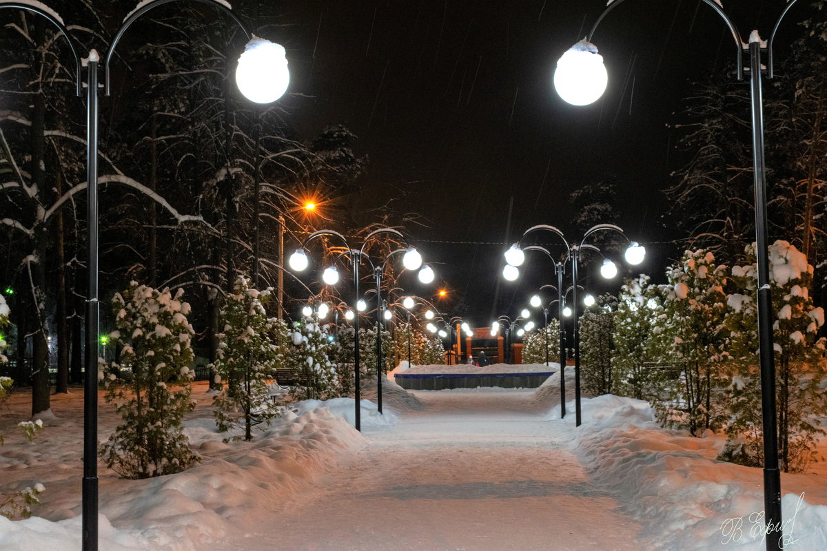 Зимний вечер в парке - Владимир Ефимов