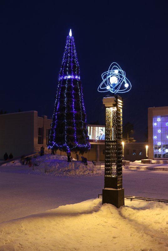 Городская елка - Ольга 