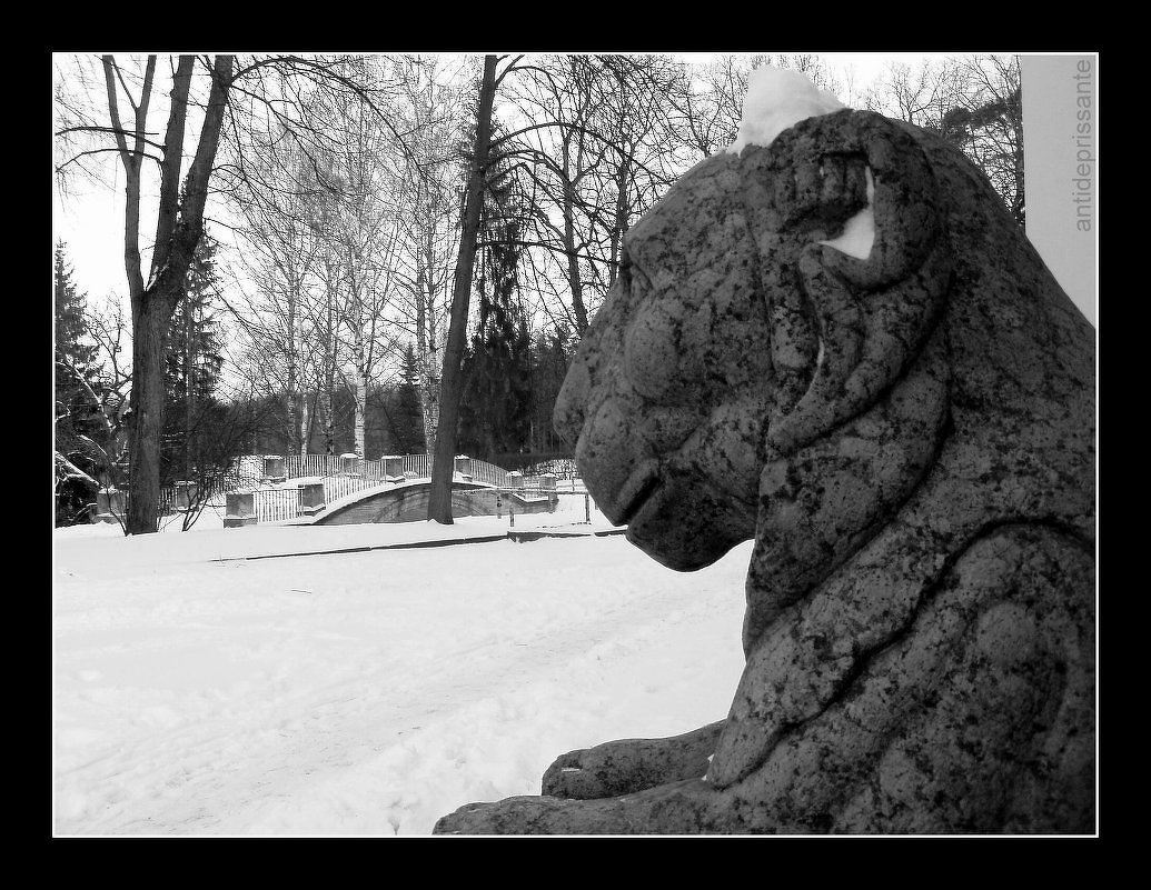 Павловск. Лев - vadim 