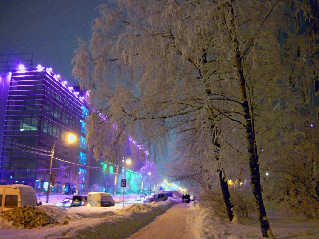 Улица зимой - Вера Щукина