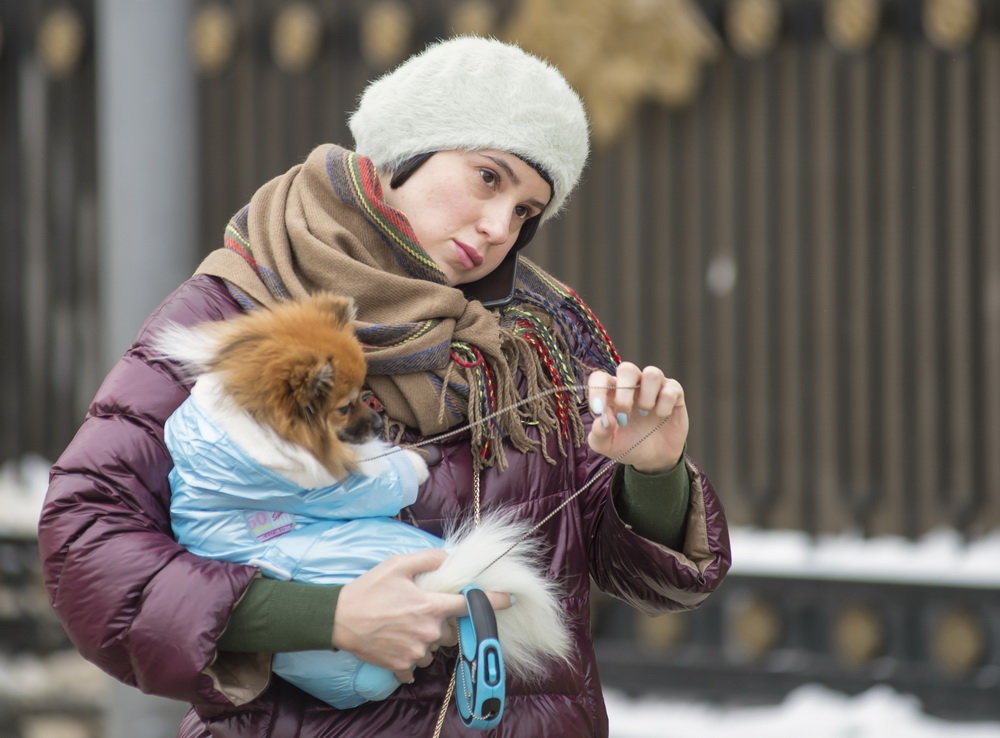 Дама с собачкой(2) - Александр Степовой 