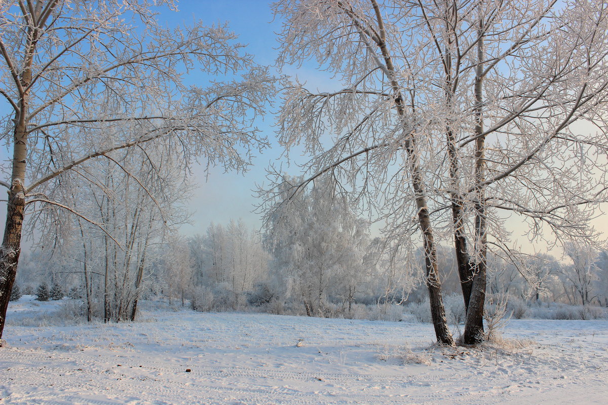 зимний пейзаж - Ольга Гомзина