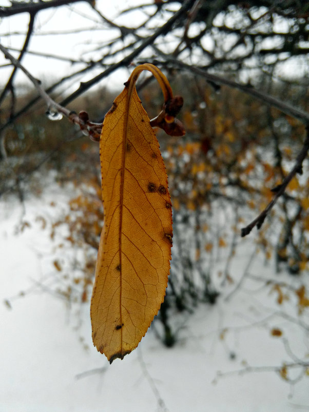 . - Татьяна Королёва