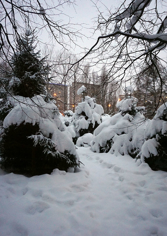 Зима в городе  ... - Лариса Корженевская