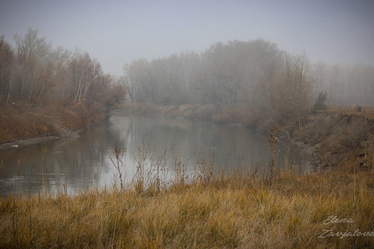 туман...река..осень.. - Elena Zavjalowa