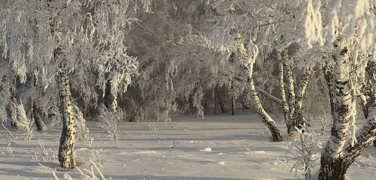 Морозный январь 3 - Сергей Жуков
