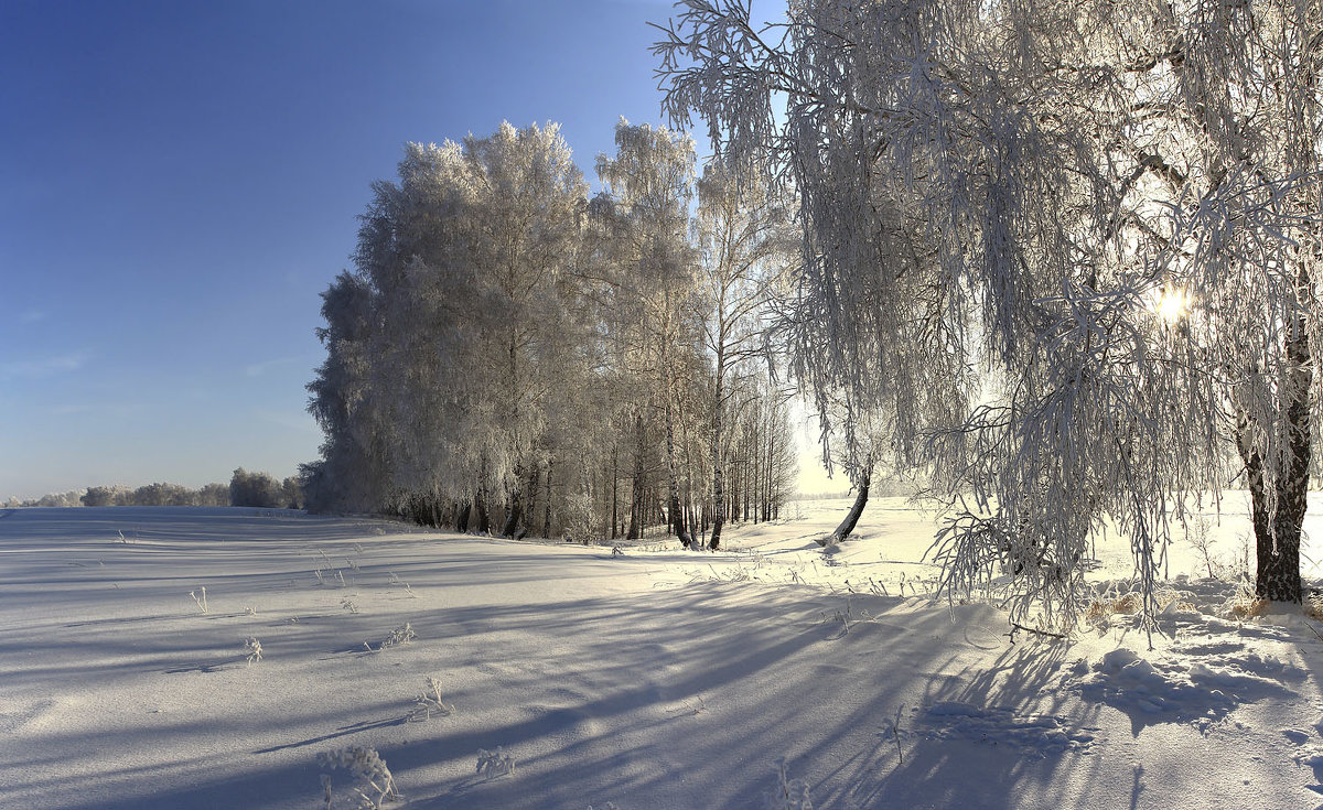 Морозный январь 5 - Сергей Жуков