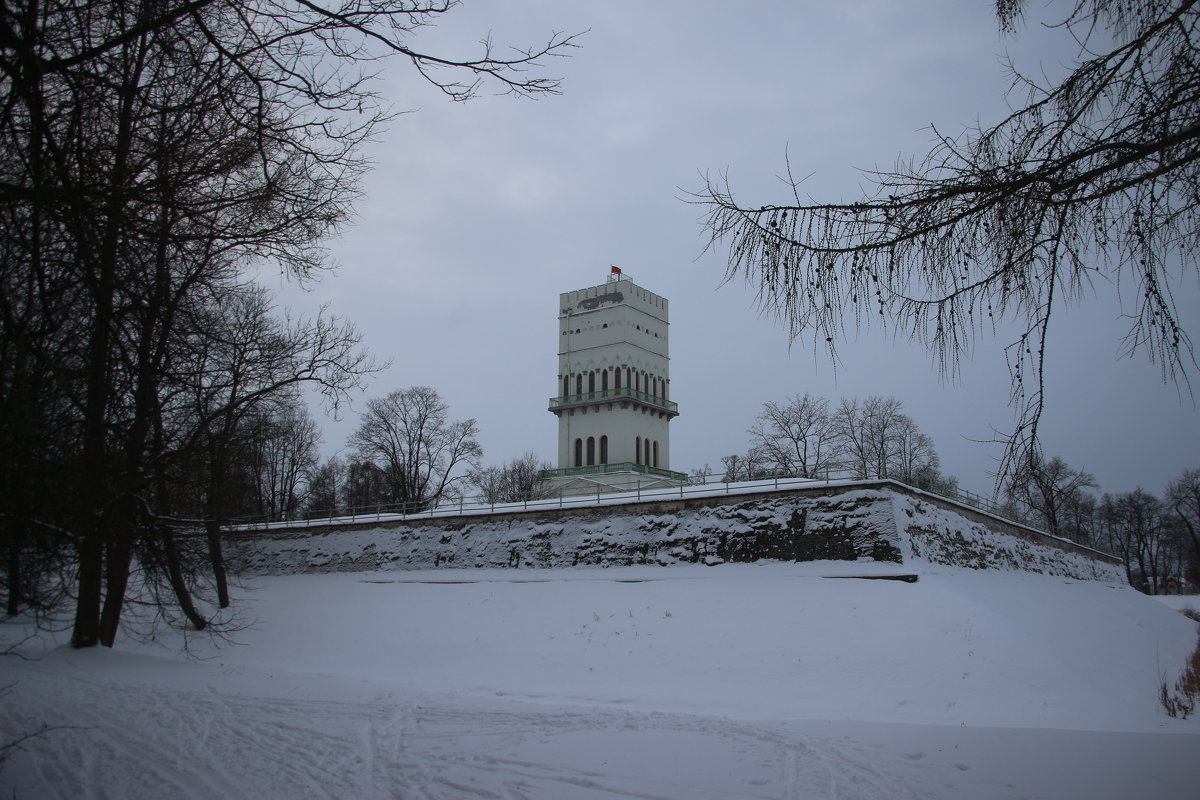 Белая башня - Наталья Герасимова
