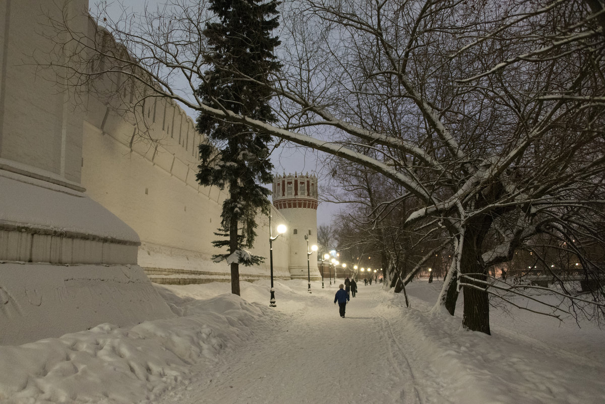 Новодевичий монастырь. - Владимир Безбородов