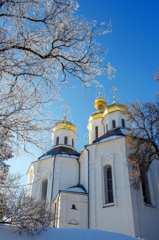 Екатерининская церковь - Сергей Тарабара