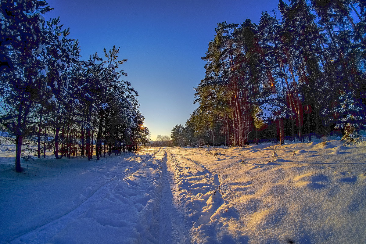 В бору - Виктор 