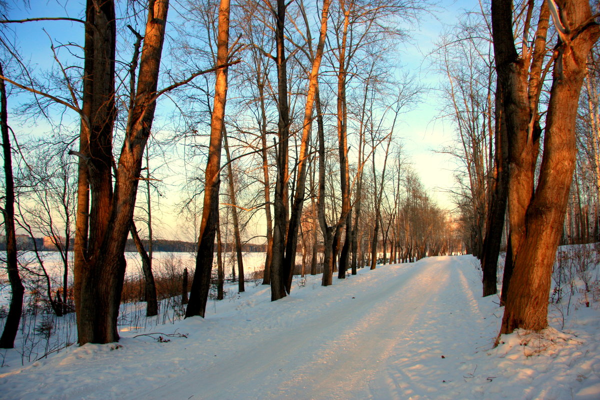 Где-то за городом... - Нэля Лысенко